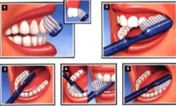 Cuida tus dientes