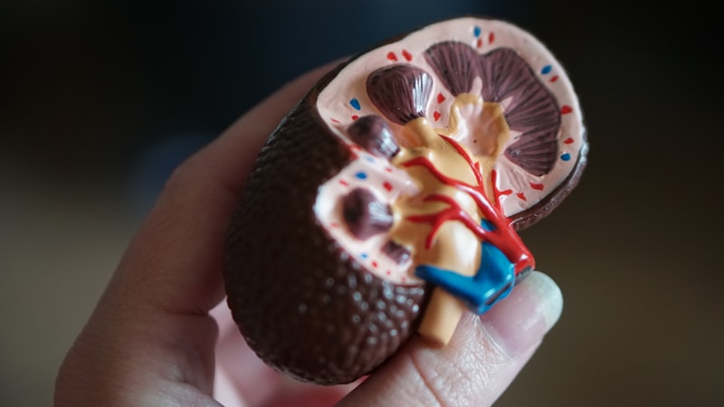 Enfermedad renal